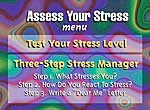 Stress Management-Assess Your Stress